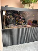 Groot zelfreinigend aquarium met malawi meer zoet water vis, Dieren en Toebehoren, Vissen | Aquaria en Toebehoren, Ophalen, Nieuw