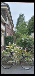 Damesfiets koga, Ophalen of Verzenden, Gebruikt, 26 inch of meer, Versnellingen