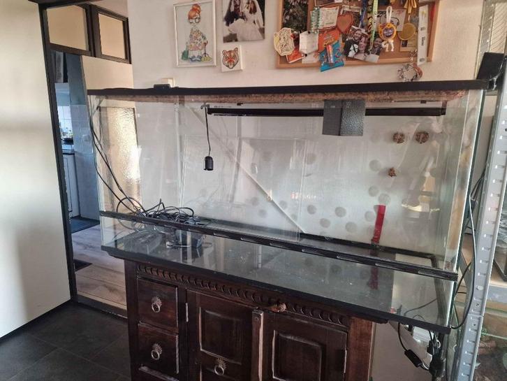 Terrarium 120 x 50 x 60, Dieren en Toebehoren, Reptielen en Amfibieën | Toebehoren, Gebruikt, Terrarium of Paludarium, Ophalen