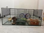 Hamsterkooi + toebehoren voor hamster, Dieren en Toebehoren, Kooi, Zo goed als nieuw, Hamster, 75 tot 110 cm