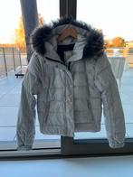 Bogner Fire + Ice Jas, Kleding | Dames, Ophalen of Verzenden, Gedragen, Maat 38/40 (M)