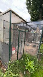 Aluminium voliere met vogels, Dieren en Toebehoren, Ophalen, Gebruikt, Aluminium, Volière