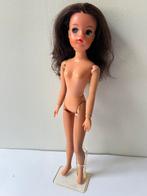 Sindy pop 033055x en standaard vintage geen barbie, Verzamelen, Poppen, Ophalen of Verzenden, Zo goed als nieuw, Pop