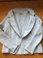 Kid mohair vestje no man's land maat s, Kleding | Dames, Truien en Vesten, Beige, Ophalen of Verzenden, Zo goed als nieuw, Maat 36 (S)