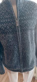 Leuk warm vest maat 48 teddy gevoerd.blauw/grijs., Kleding | Heren, Truien en Vesten, Ophalen, Zo goed als nieuw, Maat 48/50 (M)