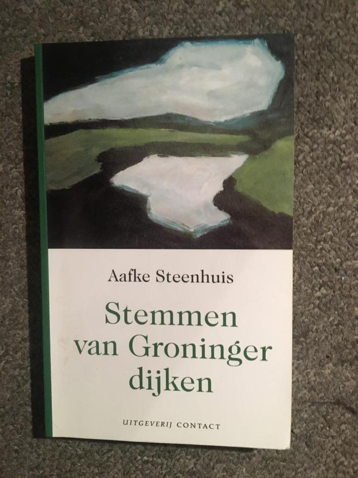 Stemmen van Groninger dijken ; door Aafke Steenhuis, Boeken, Geschiedenis | Stad en Regio, Zo goed als nieuw, 20e eeuw of later