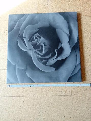 Canvas grijze roos beschikbaar voor biedingen