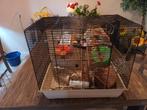 Hamsterhok met van alles er bij, Minder dan 75 cm, Zo goed als nieuw, Ophalen, Minder dan 60 cm