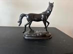 Brons paard beeld, Ophalen of Verzenden