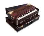 Harmonium Raga Kolkata zeer hoge kwaliteit!, Muziek en Instrumenten, Accordeons, Ophalen, Zo goed als nieuw, Overige formaten