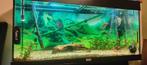 Compleet aquarium 200L, Verzenden, Zo goed als nieuw, Gevuld zoetwateraquarium