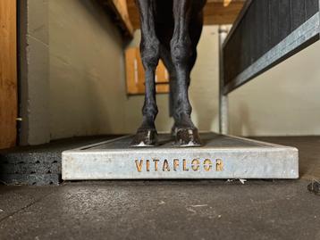 Vitafloor Therapie voor jouw paard beschikbaar voor biedingen