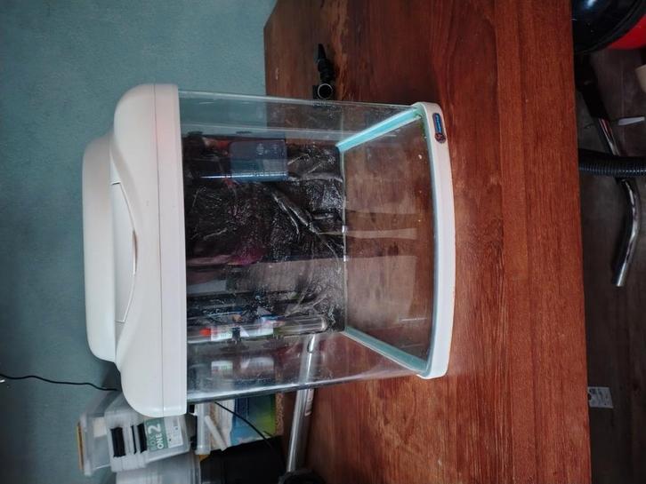 Superfish panorama 60 aquarium wit, Dieren en Toebehoren, Vissen | Aquaria en Toebehoren, Zo goed als nieuw, Leeg aquarium, Ophalen