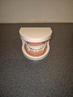 Gebit plastic, Ophalen of Verzenden, Gehele gezicht