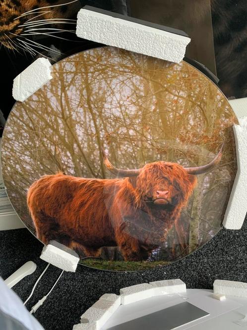 Glazen schilderijen, Antiek en Kunst, Antiek | Glas en Kristal, Ophalen of Verzenden