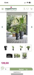 Nieuw 2 elho pure coupe potten zwart, Ophalen, Kunststof, Minder dan 60 cm, Rond