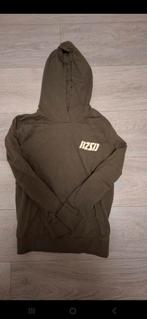 Raizzed Hoodie Maat 152 - Zo goed als nieuw, Kinderen en Baby's, Kinderkleding | Maat 152, Trui of Vest, Ophalen of Verzenden