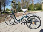 Driewieler volwassenen., Fietsen en Brommers, Fietsen | Driewielfietsen, Ophalen, Gebruikt, VAN RAAM