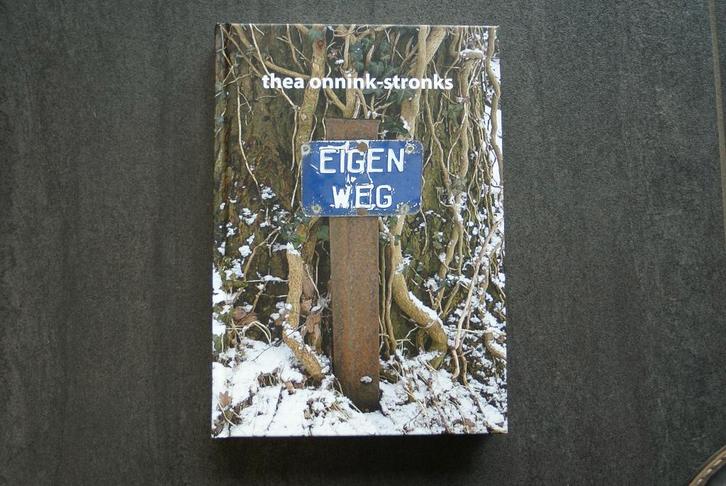 Eigen weg........Thea Onnink - Stronks, Boeken, Streekboeken en Streekromans, Zo goed als nieuw, Gelderland, Ophalen of Verzenden