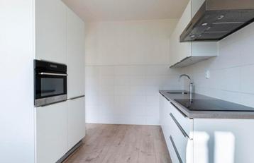 Nette Moderne Rechte Keuken + Apparatuur + GEDEMONTEERD beschikbaar voor biedingen