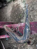 Honda MT Uitlaat orgineel, Ophalen of Verzenden, Gebruikt, Uitlaat