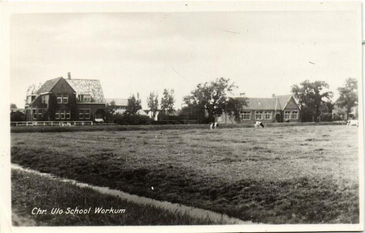 Chr. Ulo School Workum - koeien - ongelopen, Verzamelen, Ansichtkaarten | Nederland, Ongelopen, Friesland, Voor 1920, Verzenden