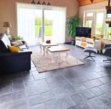 CASTLE STONES ACTIE PRIJS!! CASTLESTONES - KLOOSTERTEGELS beschikbaar voor biedingen