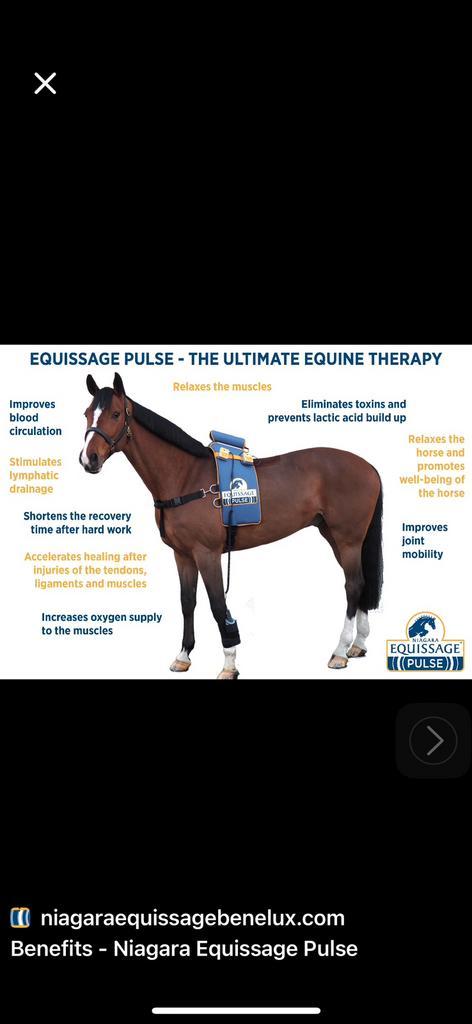 Equisage te koop aangeboden, Dieren en Toebehoren, Paarden en Pony's | Verzorgingsproducten, Gebruikt, Ophalen of Verzenden