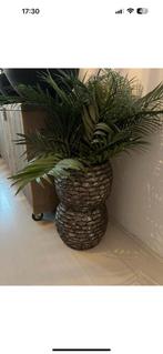 Vazen PMTD 6 vazen, Huis en Inrichting, Woonaccessoires | Kandelaars en Kaarsen, Ophalen, Zo goed als nieuw, Overige materialen