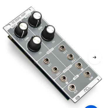 ACL Dual amp (nieuwstaat) beschikbaar voor biedingen