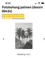 Foto behang nieuw Palmbomen, Ophalen of Verzenden