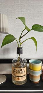 Gratis lege  wiskey flessen, Ophalen of Verzenden