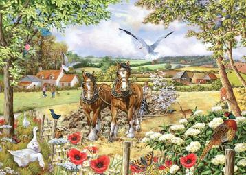 House of Puzzles - Bonnie & Clide - 250XL stukjes beschikbaar voor biedingen