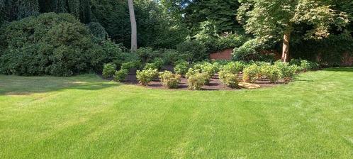 Tuinonderhoud en kluswekzaamheden binnen en buiten, Diensten en Vakmensen, Tuinmannen en Stratenmakers, Bestrating, Hekwerk of Schuttingen