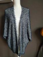 Mooi vest Betty Barclay - maat L, Blauw, Maat 42/44 (L), Betty Barclay, Ophalen of Verzenden