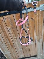 Mini shet hoofdstel, Dieren en Toebehoren, Paarden en Pony's | Hoofdstellen en Tuigage, Ophalen of Verzenden, Zo goed als nieuw
