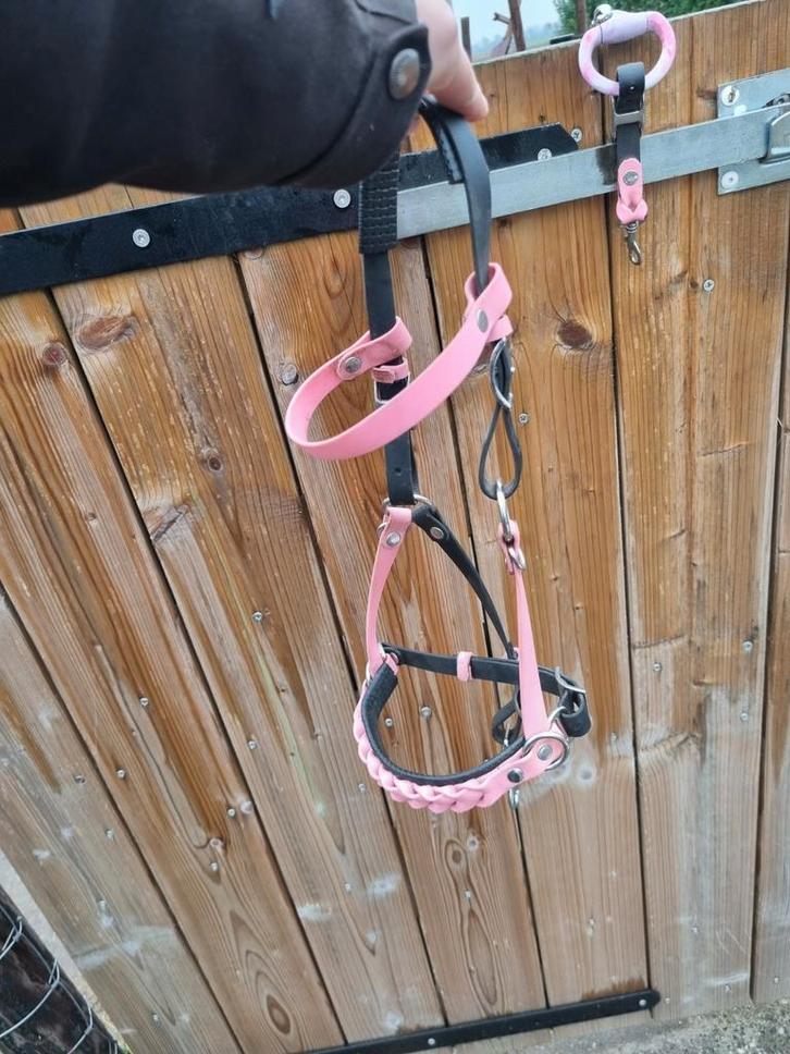 Mini shet hoofdstel, Dieren en Toebehoren, Paarden en Pony's | Hoofdstellen en Tuigage, Zo goed als nieuw, Overige soorten, Ophalen of Verzenden