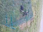 Konijn, Dieren en Toebehoren, Konijnen, Mannelijk, Klein, 0 tot 2 jaar