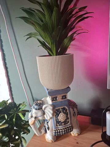 Plantentafel olifant keramiek beschikbaar voor biedingen