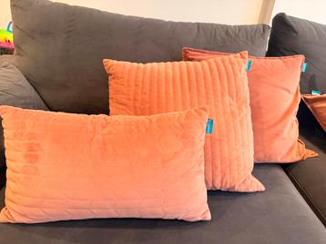 Set Kussoo velvet kussens – per 2 stuks – oudroze beschikbaar voor biedingen