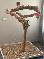 Java boom, Dieren en Toebehoren, Ophalen, Zo goed als nieuw