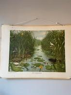 Originele schoolplaat Naardermeer en In het bos, Ophalen, Natuur en Biologie