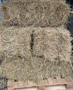 Weidehooi baaltjes met analyse 4 stuks (7,50 per stuk), Ophalen, Nieuw, Overige soorten