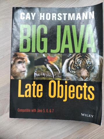 Big Java Late Objects beschikbaar voor biedingen