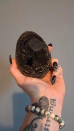 Septarie ei, Ophalen of Verzenden