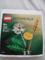 Lego Field flowers polybag !!!, Kinderen en Baby's, Speelgoed | Duplo en Lego, Ophalen of Verzenden, Nieuw, Complete set, Lego