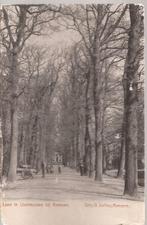 IJsselmuiden. Laan te IJselmuiden bij Kampen ca. 1905, Verzamelen, Ansichtkaarten | Nederland, Ophalen of Verzenden, Voor 1920