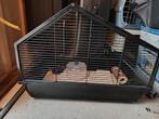 Hamsterkooi zo goed als nieuw, Kooi, Minder dan 75 cm, Zo goed als nieuw, Hamster