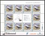 Postzegels Vogels in Nederland: Eidereend, Ophalen of Verzenden, Na 1940, Postfris