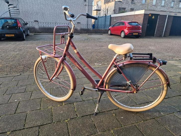 Pegasus Damesfiets - Goed Onderhouden, Fietsen en Brommers, Fietsen | Dames | Damesfietsen, Gebruikt, Overige merken, (Extra) lage instap